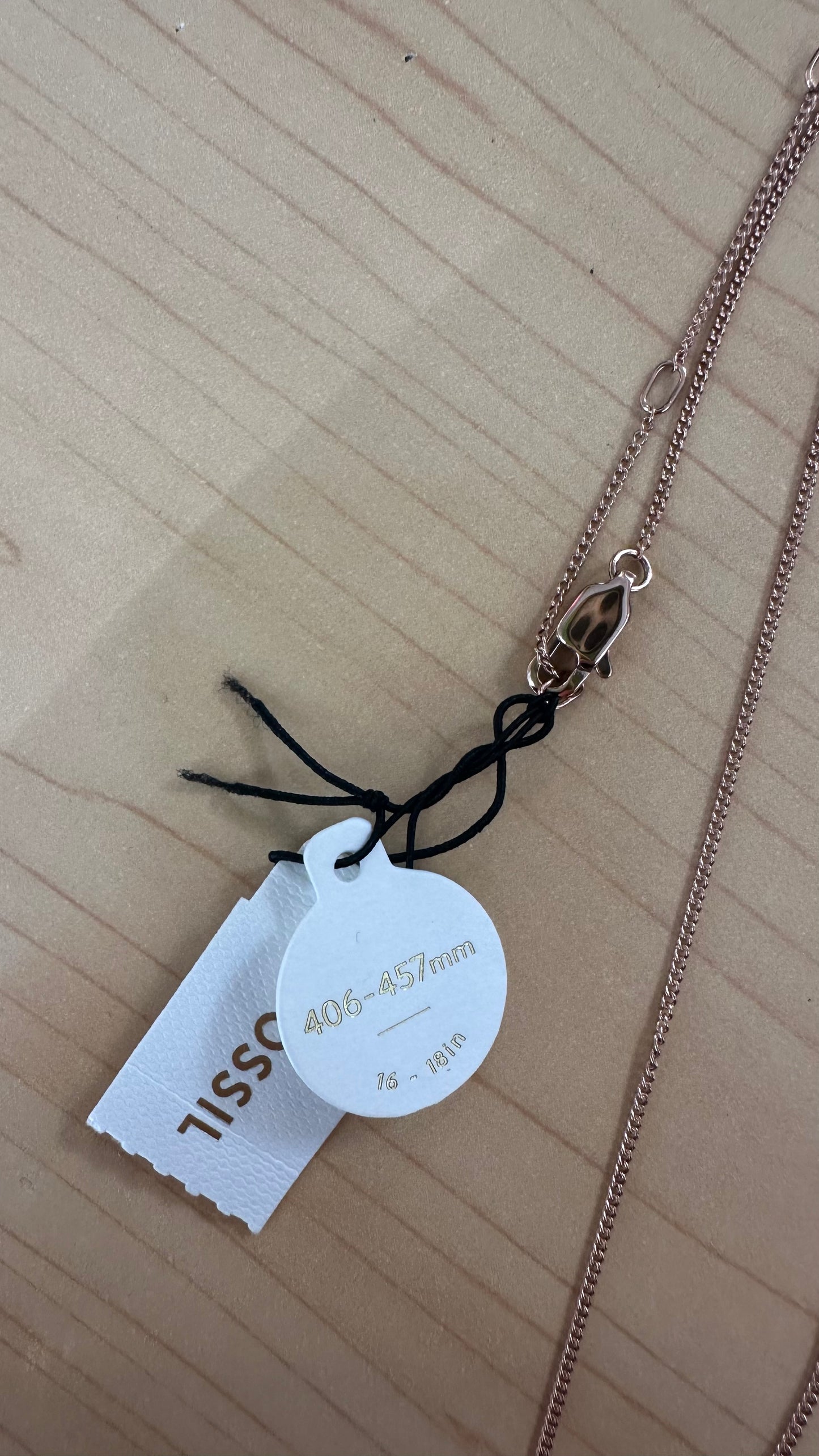 Fossil Chain New with Tags