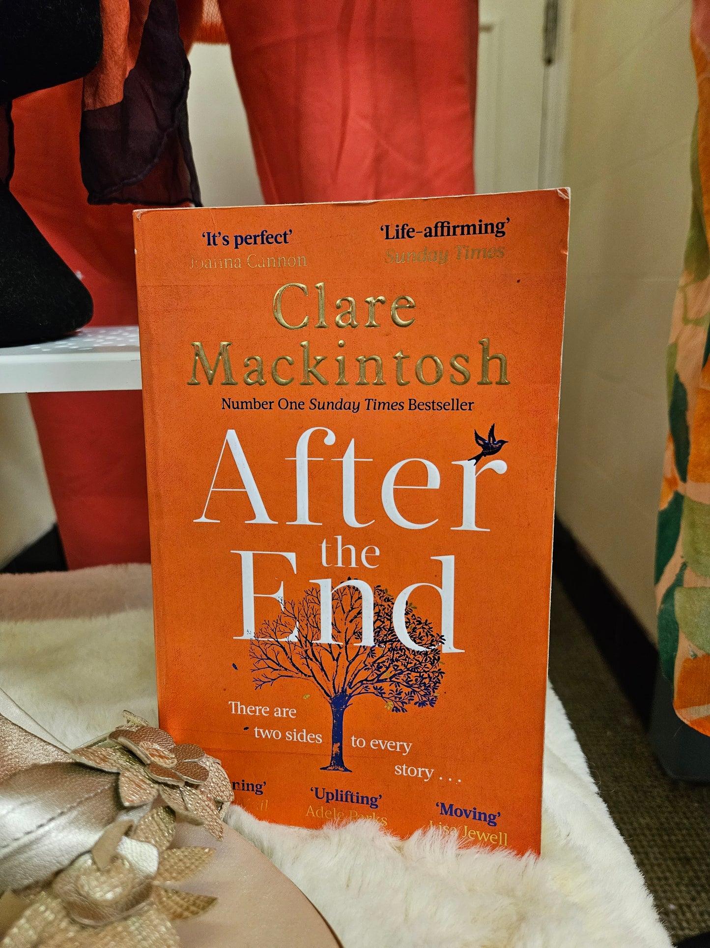 Claire Mackintosh, After the end, book