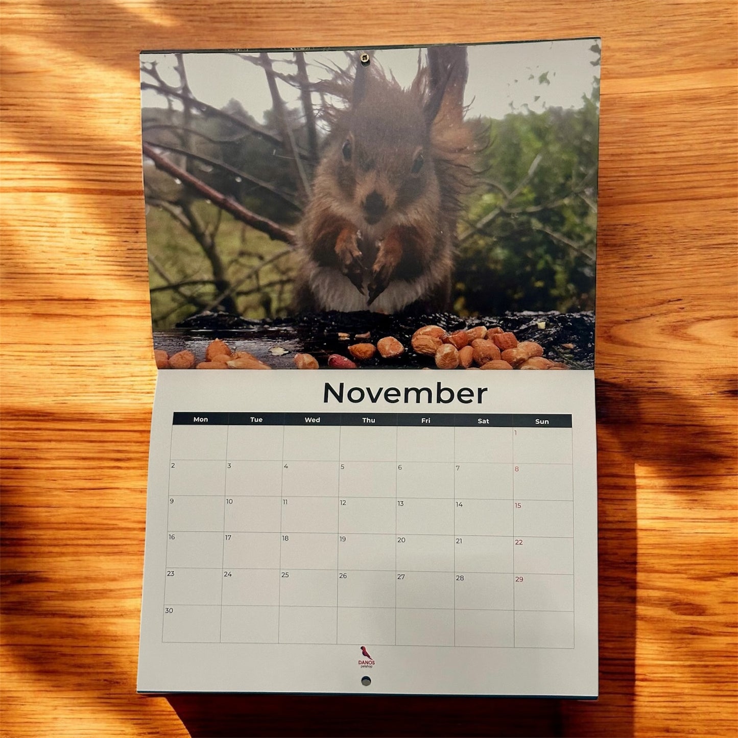 DWR 2026 Calendar (Postage Excluded)