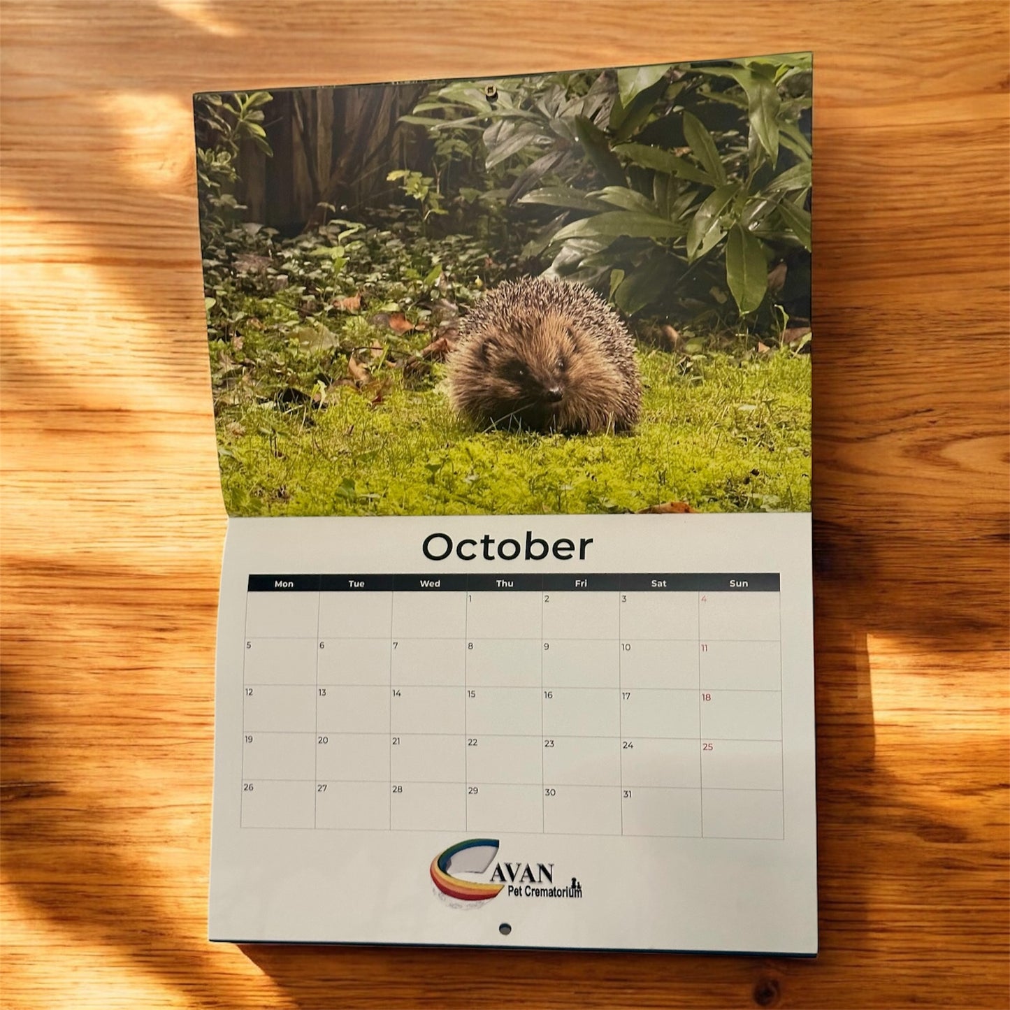 DWR 2026 Calendar (Postage Excluded)