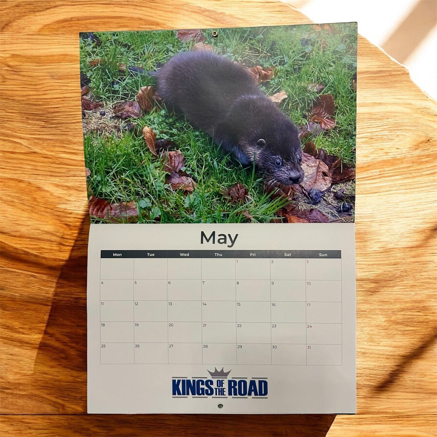 DWR 2026 Calendar (Postage Excluded)