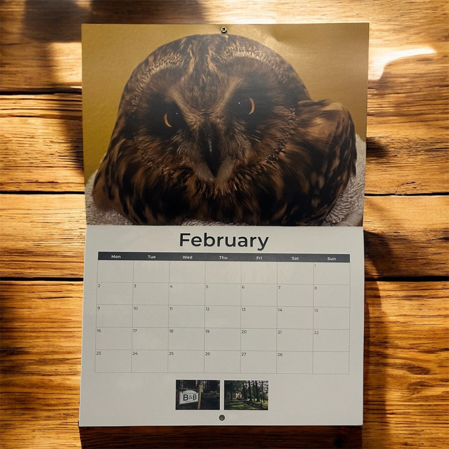 DWR 2026 Calendar (Postage Excluded)