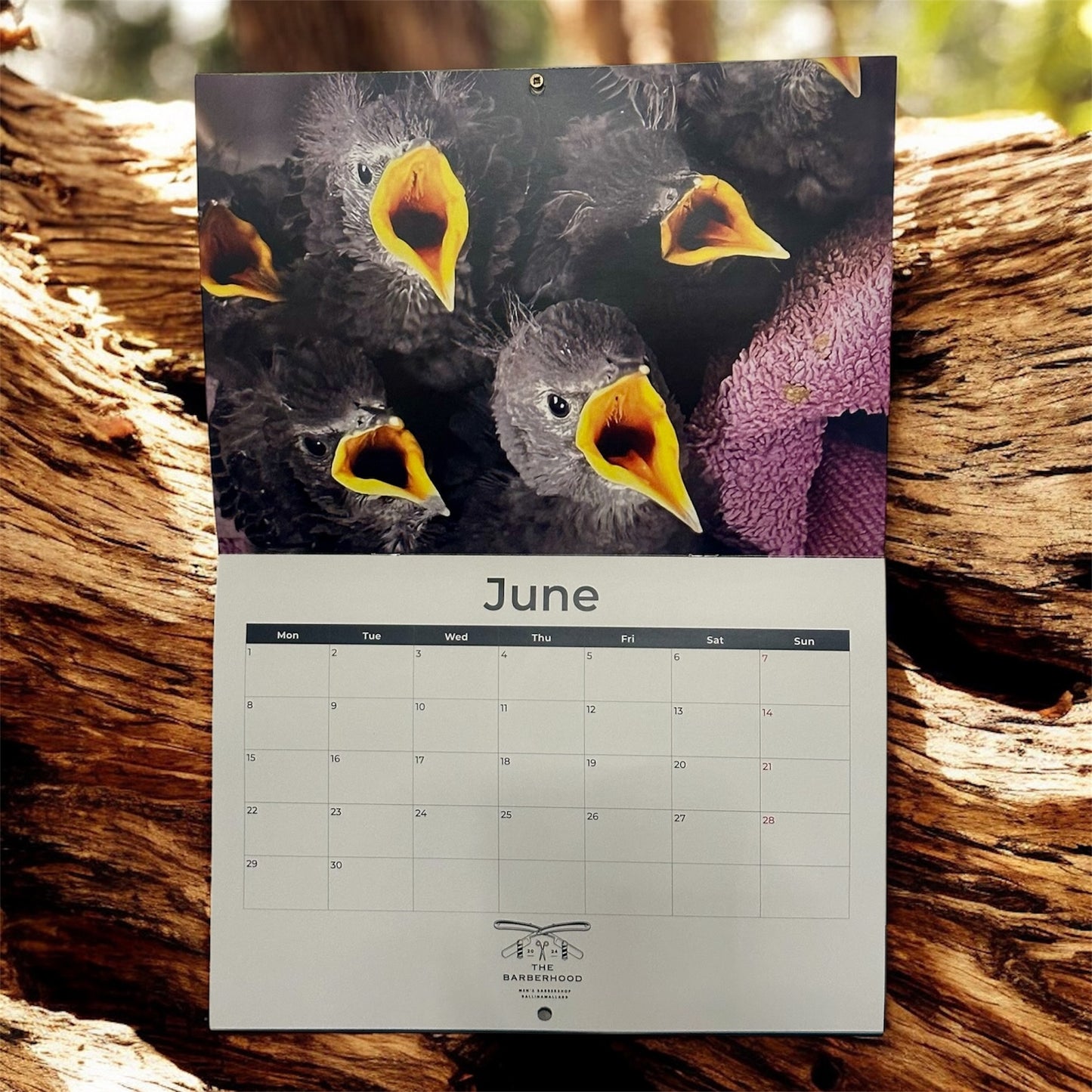 DWR 2026 Calendar (Postage Excluded)