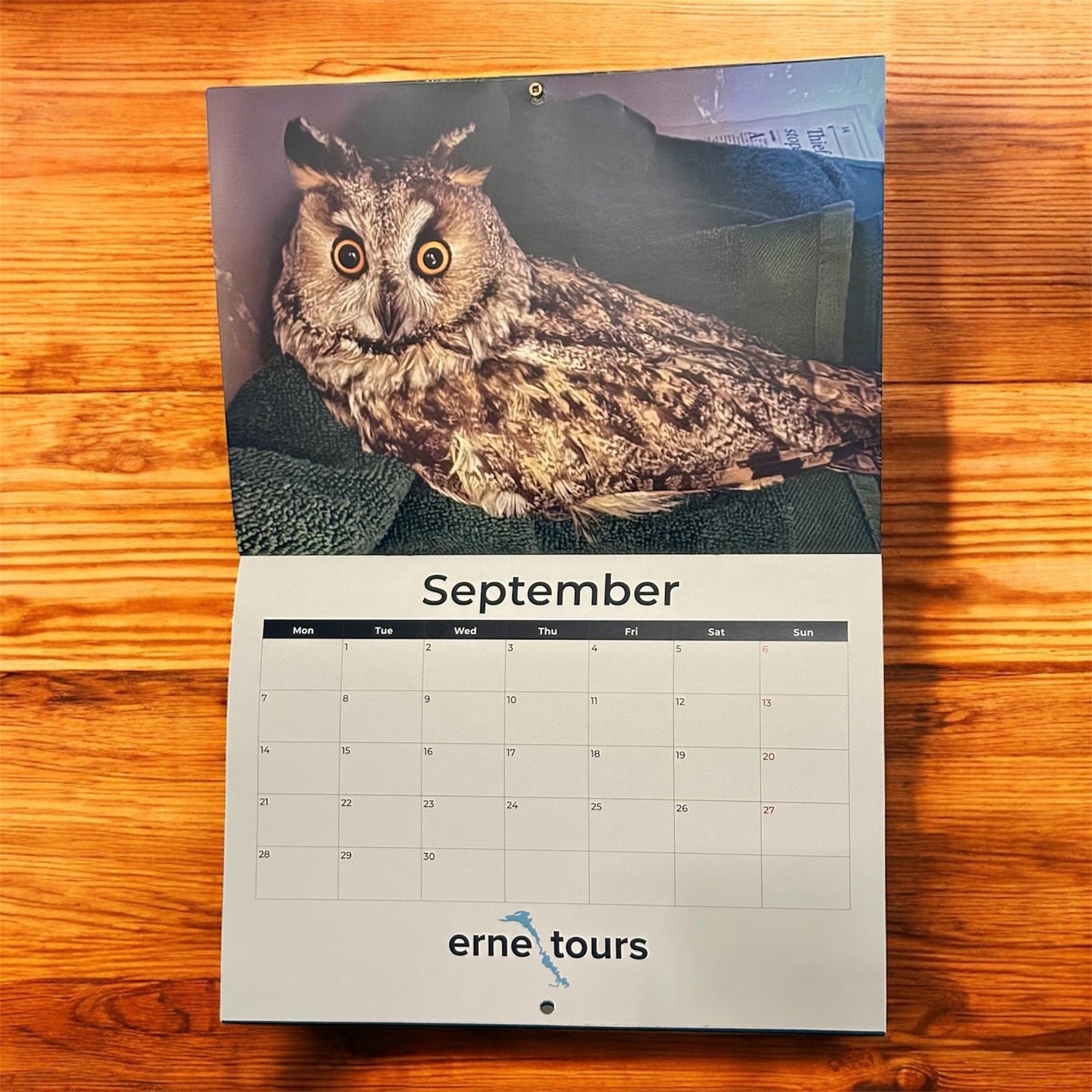 DWR 2026 Calendar (Postage Excluded)