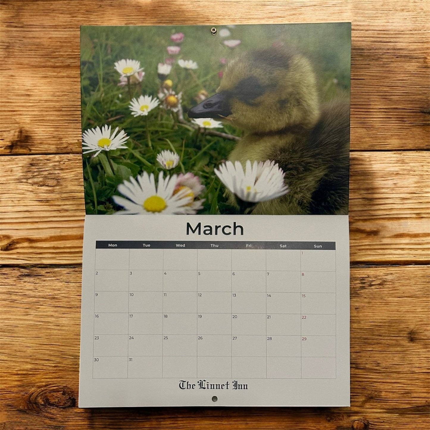 DWR 2026 Calendar (Postage Excluded)