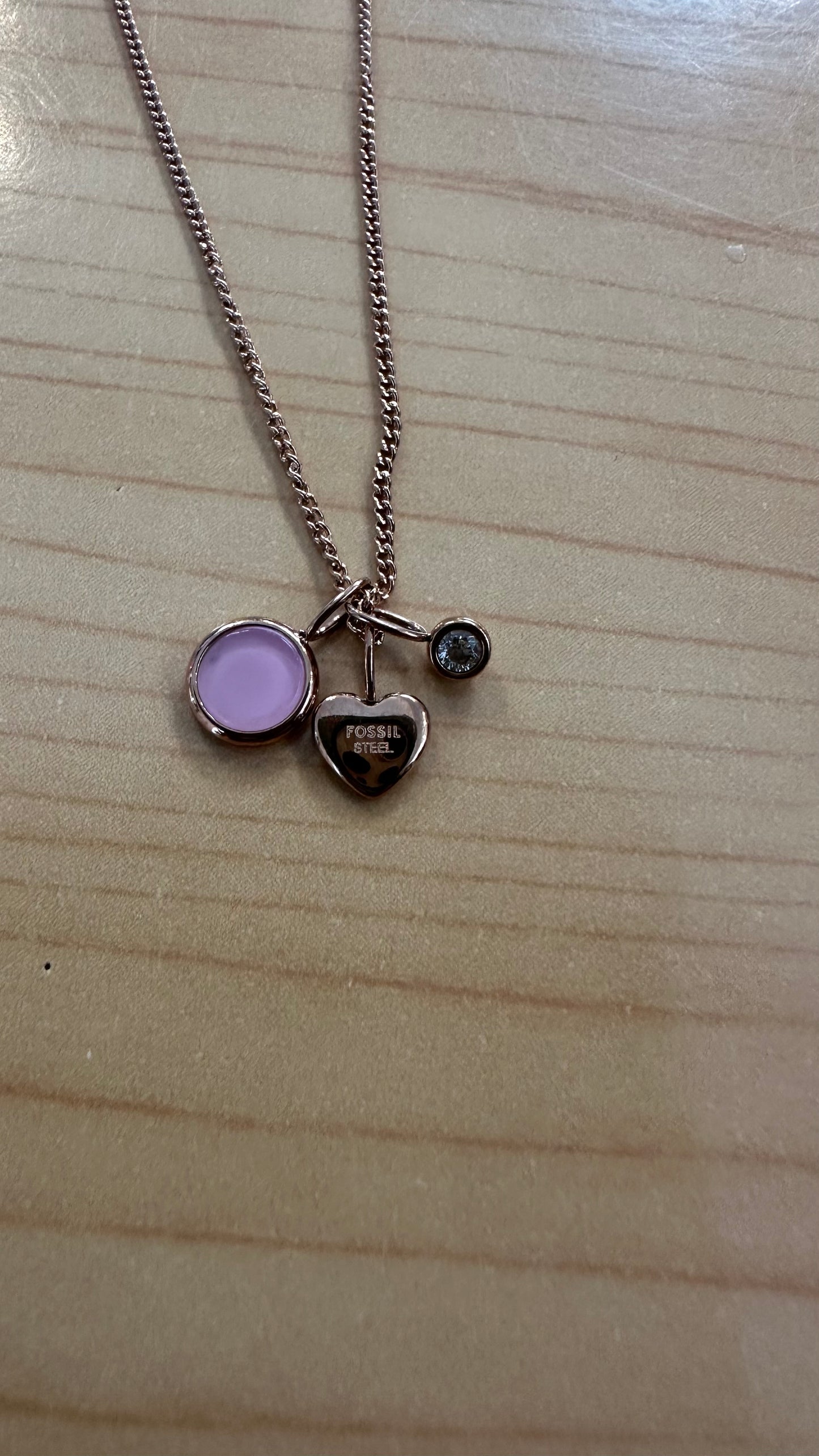 Fossil Chain New with Tags