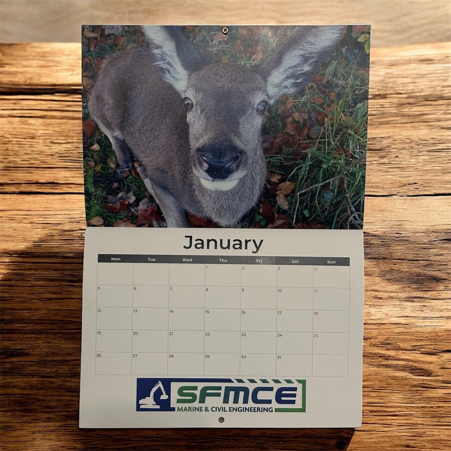 DWR 2026 Calendar (Postage Excluded)