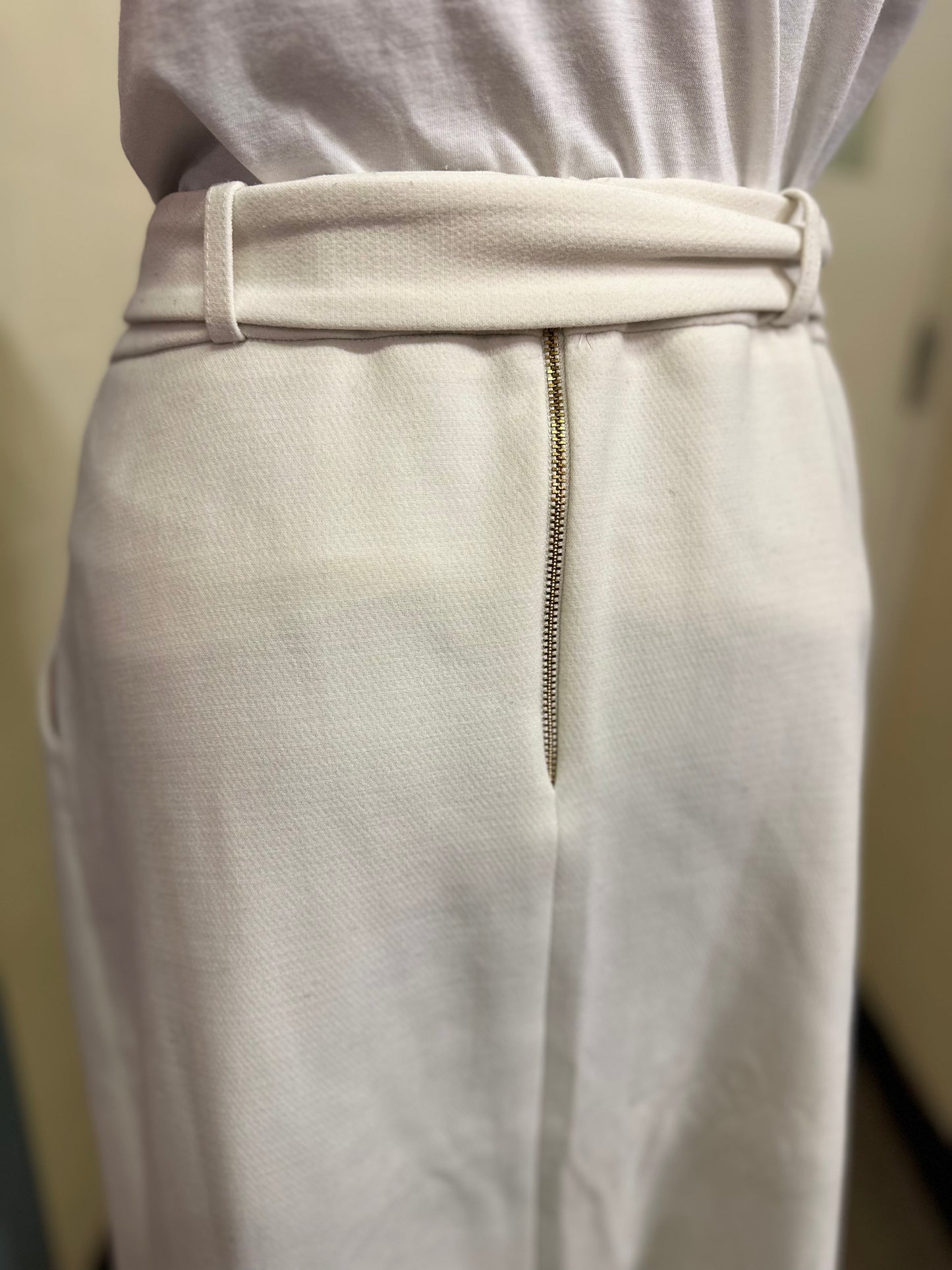 Closet Belted Skirt with Pockets, Size 14