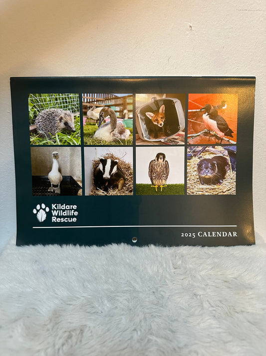 Kildare Wildlife Rescue Calendar 2025