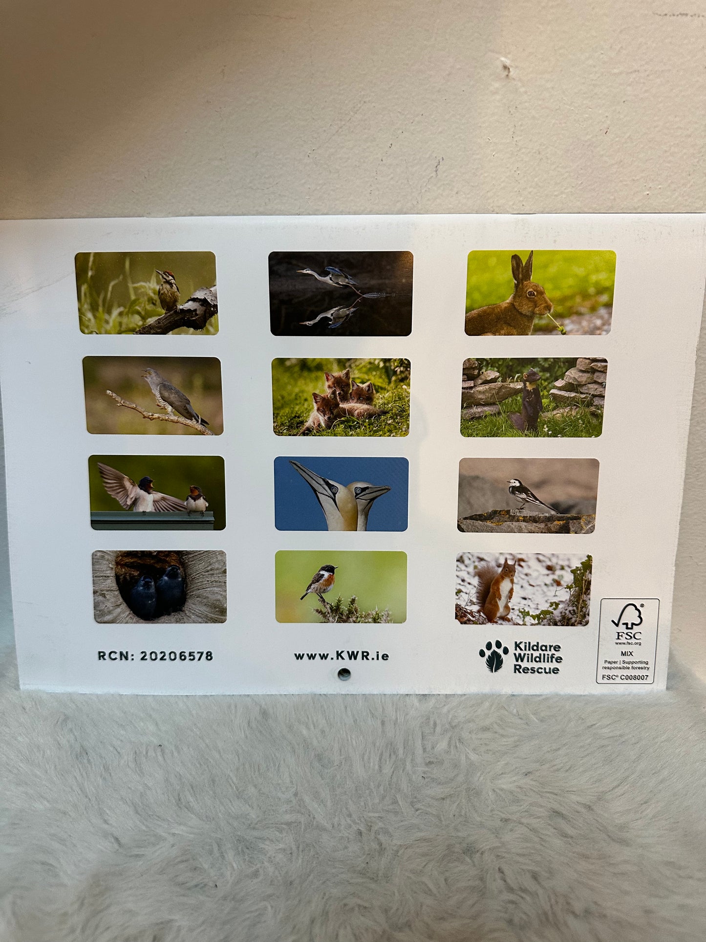 Kildare Wildlife Rescue Calendar 2025