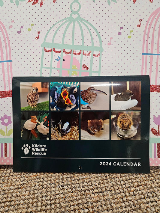 Kildare Wildlife Rescue Calendar